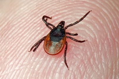 ����: obozrenie.kz