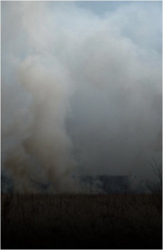 Трагедия на сенокосе: мужчина погиб после пожара в Экибастузской сельской зоне