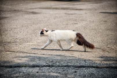 ����: obozrenie.kz