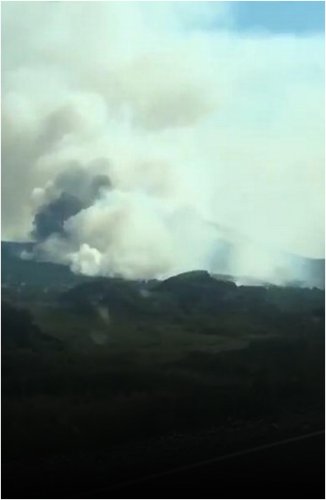 Пожар в Баянауле не могут потушить уже несколько дней