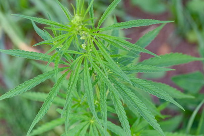 ����: obozrenie.kz