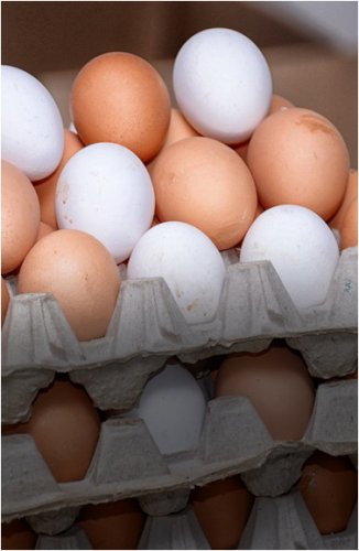 Чиновники сообщили адреса магазинов, где можно купить яйца по социальной цене 