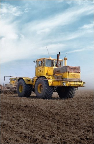 В Казахстане предложили запретить экспорт зерна