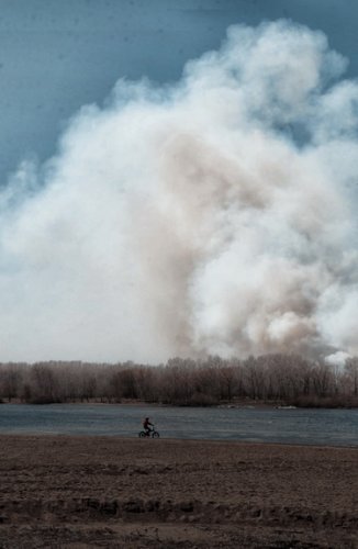 В Павлодаре горит пойма Иртыша