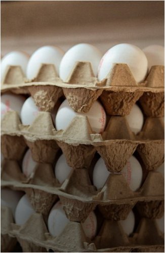 На прилавках Павлодара пресекли продажу яиц по спекулятивной цене