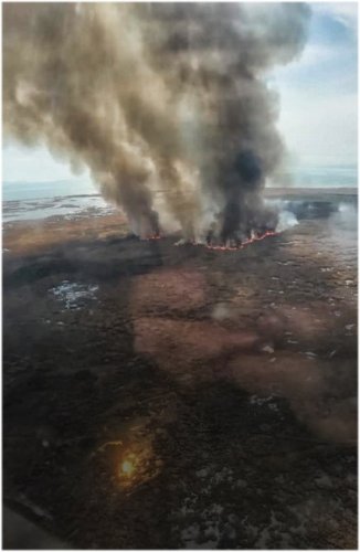 Степь и сосновый бор горят на 300 гектарах в Павлодарской области