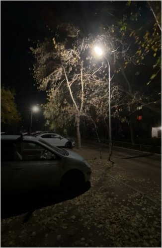 Подключать освещение дворов спустя годы начали в Павлодаре