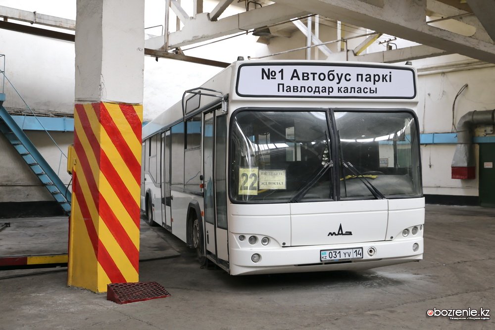 Фирма автобус 1. Автобус Павлодар. Название автобусов. Названия автобусных компаний. Название компании автобусов.