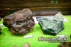 Вулканическая бомба и метеорит представлены на выставке