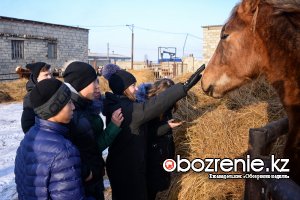Павлодарские школьники посетили крестьянское хозяйство, которое занимается разведением КРС
