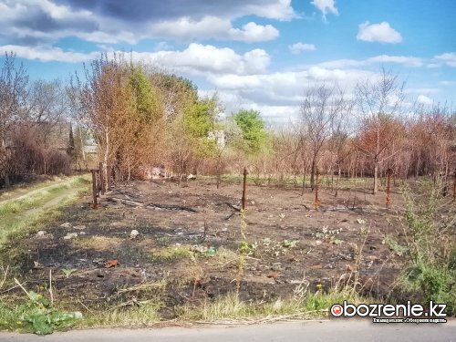 С начала дачного сезона в Павлодаре сгорело 64 строения