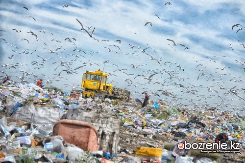 Лишь пятую часть твёрдых бытовых отходов перерабатывают в Павлодарской области