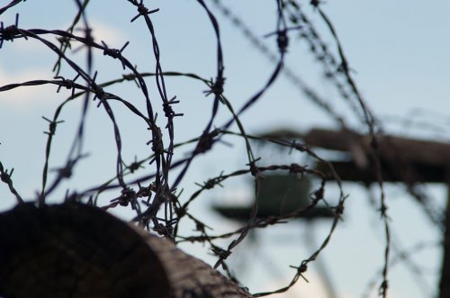 14 человек осудили в Павлодаре за пытки в колонии АП-162/3
