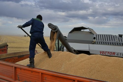 Уборочные работы зерновых культур завершены на 100%