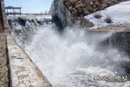 Более 20 тысяч гектаров земли затопит в Павлодарской области после попусков воды