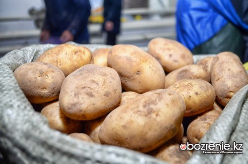 Повышение цены на картофель и морковь объяснили павлодарские чиновники