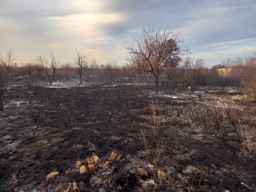 «Наши силы и средства не справляются»: в ДЧС объяснили масштабы дачных пожаров