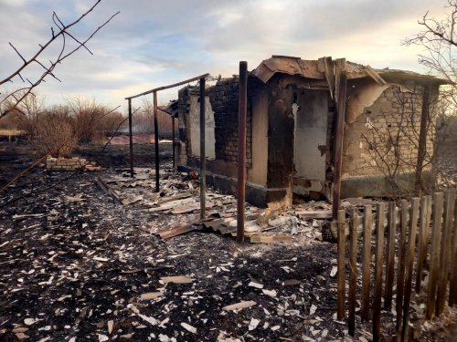 «Наши силы и средства не справляются»: в ДЧС объяснили масштабы дачных пожаров