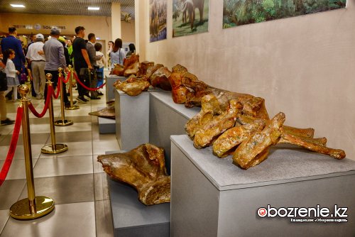 Сотни павлодарцев посетили «Ночь в музее»