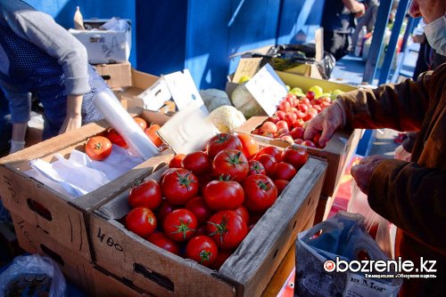 Три мини-базара планируют благоустроить в Павлодаре